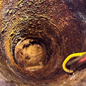 Sunday No-Water Emergency: Well Pump Replacement, Root Removal & Water Testing