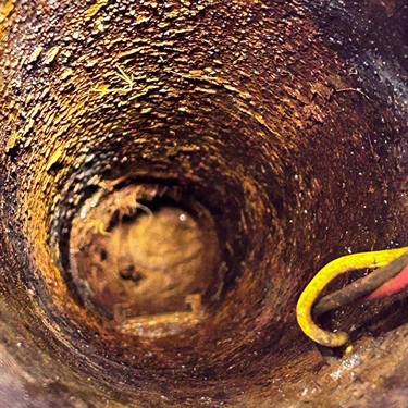 Sunday No-Water Emergency: Well Pump Replacement, Root Removal & Water Testing